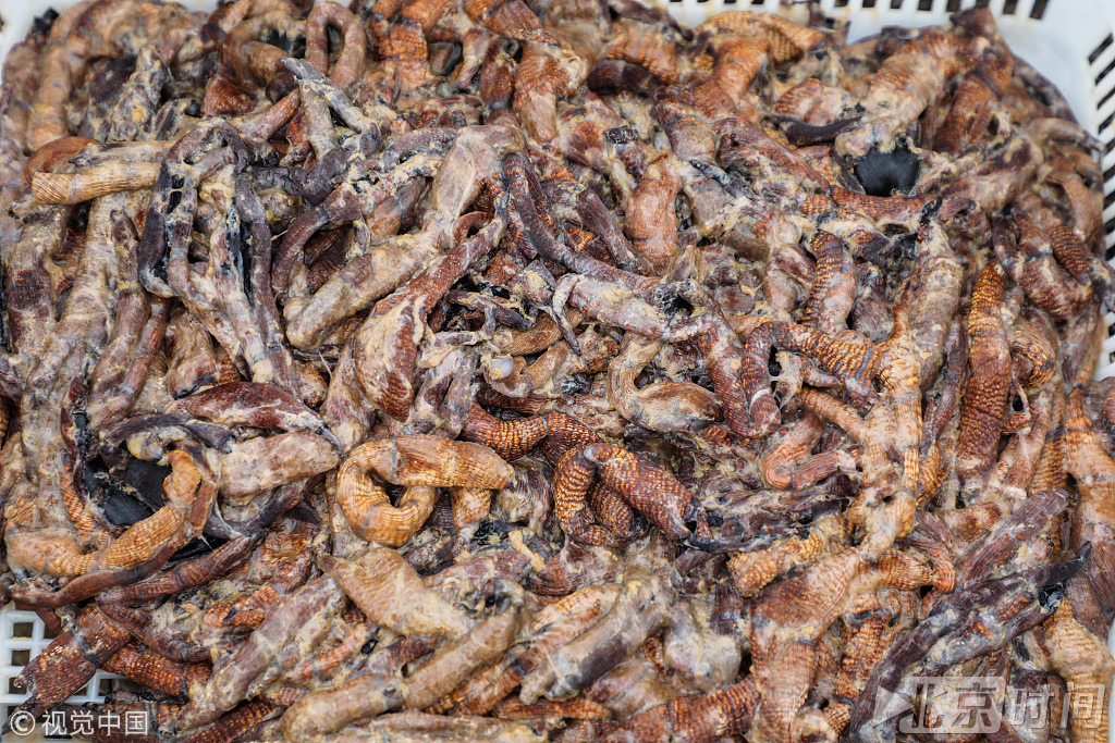 2018年7月8日,辽宁丹东。海蜇捕捞季。椅圈镇一海水养殖区,经过脱水处理的海蜇衣。