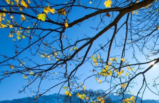 领导欺负老实人的3大悖论,你信,就被套路了!