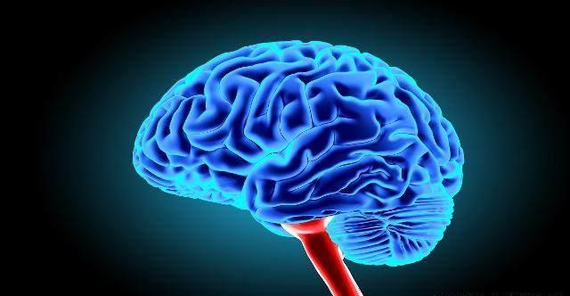 其实孕期这2个时间段,是胎儿大脑发育黄金期