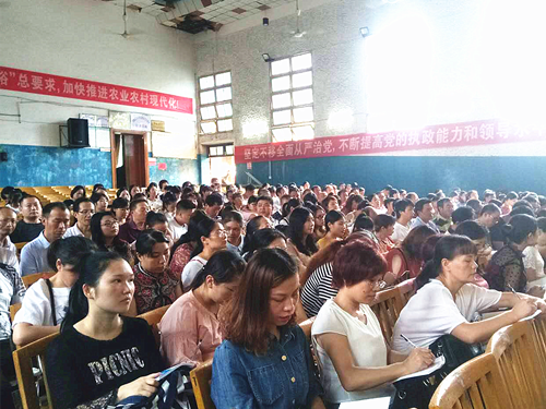 洪山殿镇展开两整治一巩固师德师风教育活动