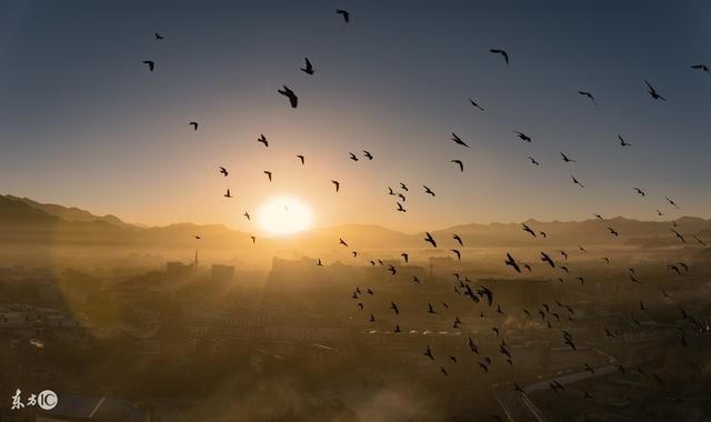 陶渊明:一场说走就走的旅行,诗酒为伴的惬意生