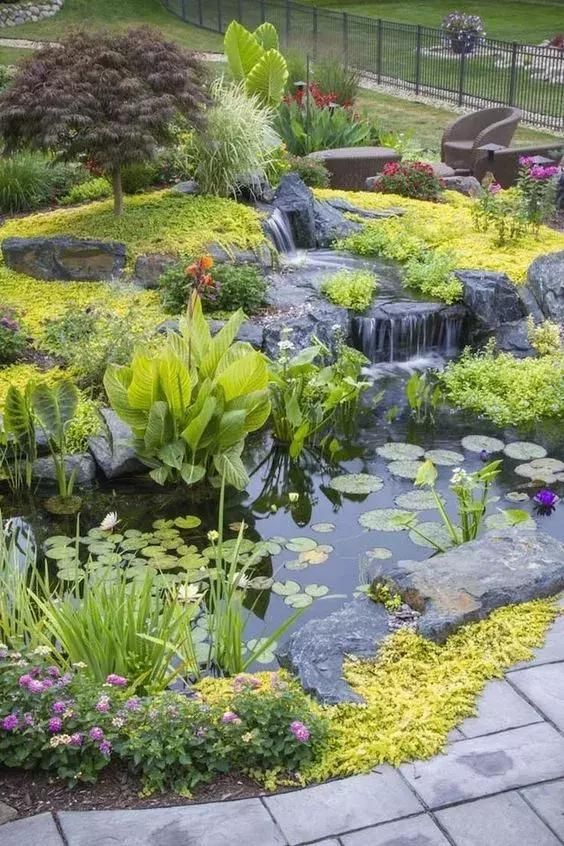 家庭园艺|庭院花园里的自然水池,这样来做 水景
