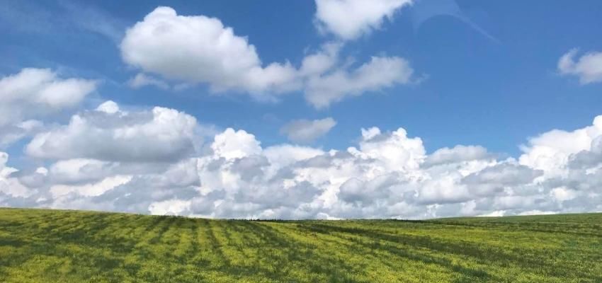 2018呼伦贝尔大草原哪里草最好你想知道吗