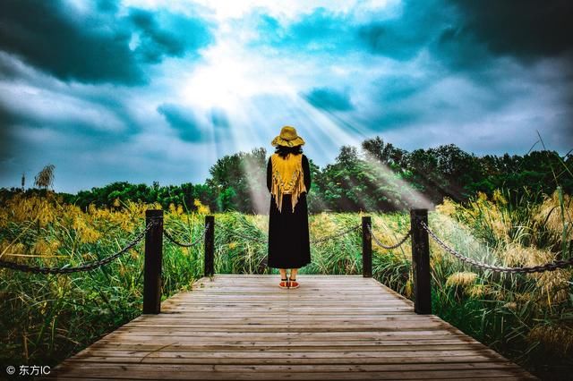 娇妻养成小说《凉夏遇暖心》