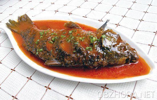 2018,去俄罗斯看世界杯,俄罗斯南部奇葩饮食看