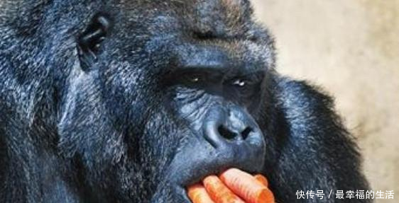 搞笑段子精选我喜欢闪闪发光的男生,你是要找