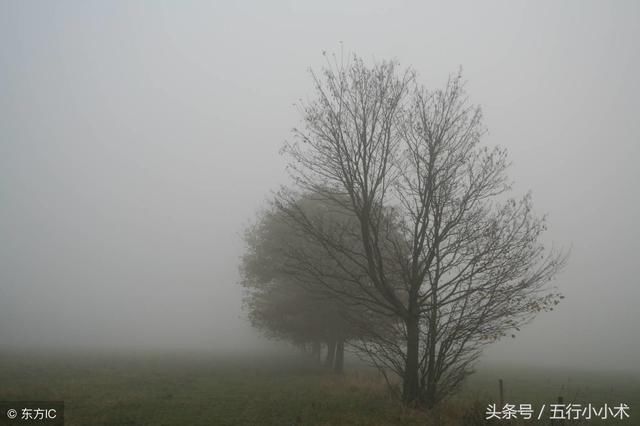 八卦纳甲有纳干和纳支,卜巫六爻风水都有用到