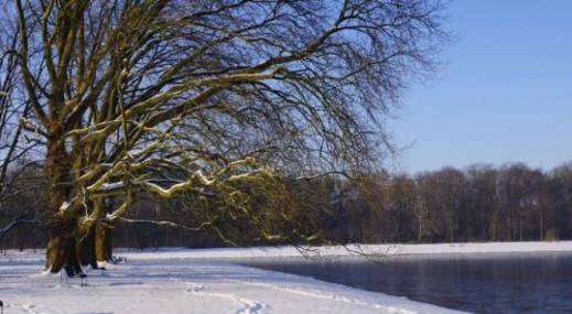 10个你生活中最常见的物理现象,其中的原理你