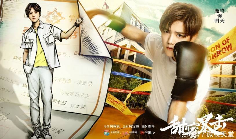 郑爽新戏《沙漏》将开拍,男主是他,网友:为何不