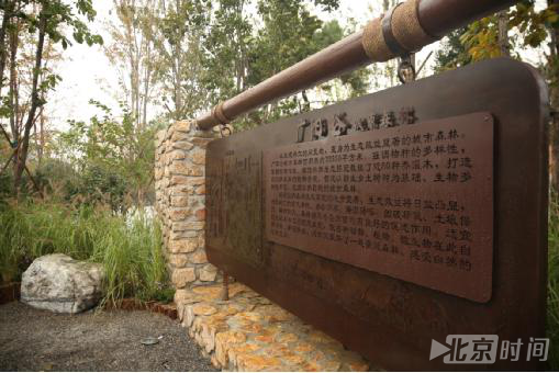 西城区菜市口闲置用地变“森林” 新增城市绿地5.57公顷