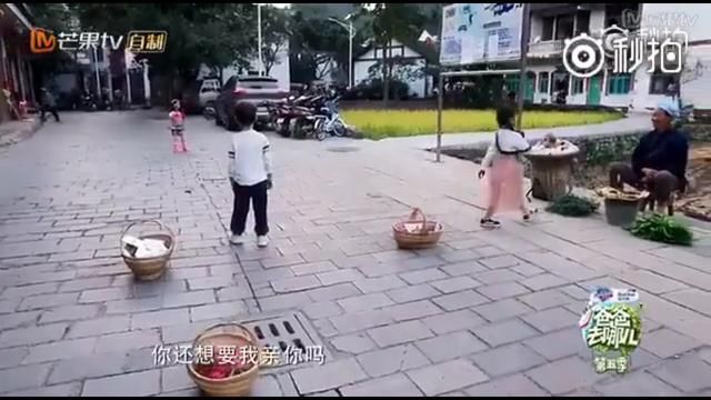 爸爸去哪儿第六季延期,来看这个吧!