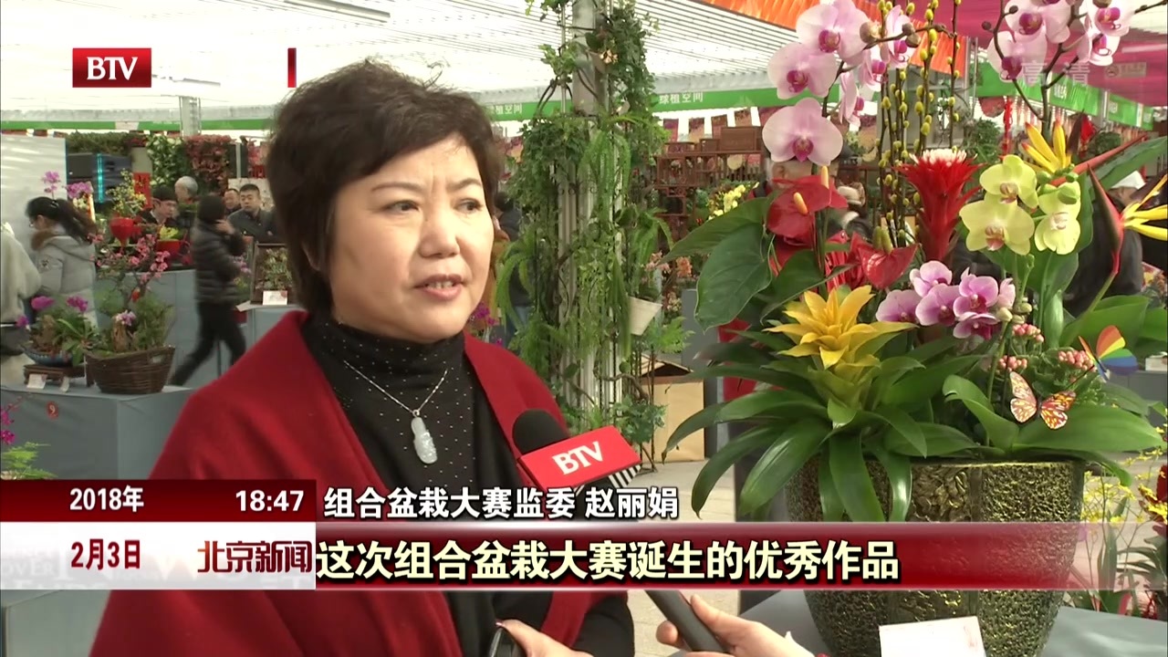 千万盆年宵花扮美北京节日市场