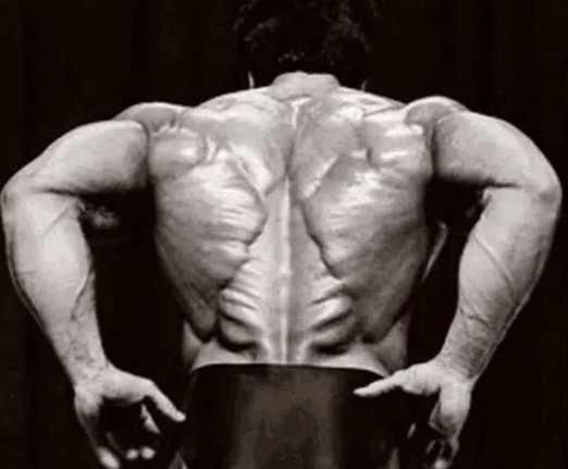 李小龙背部圣诞树是怎么形成的呢