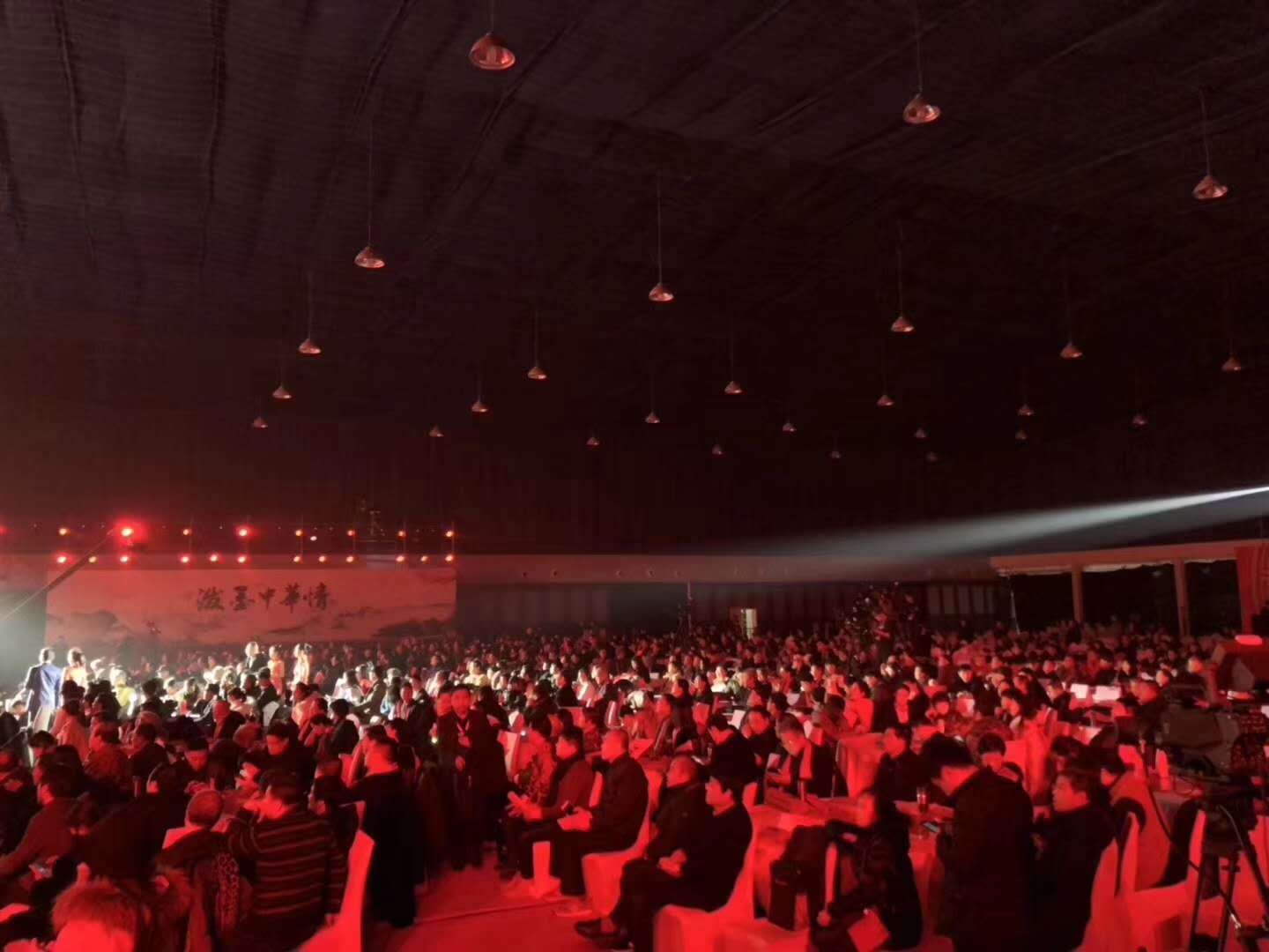 董廷超在泼墨中华情CETV2019 书画春晚舞台