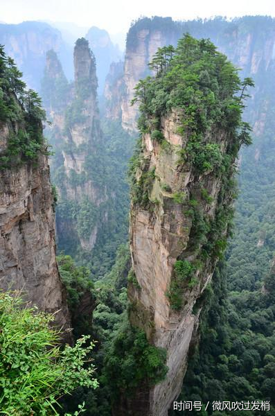 天津坐飞机到张家界,包导游(线路攻略)