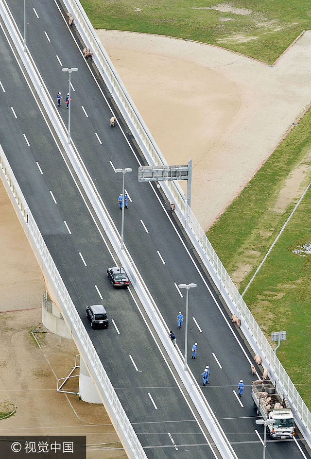 时间2017年6月8日,日本池田市,在日本大阪府池田市的阪神高速池田线上