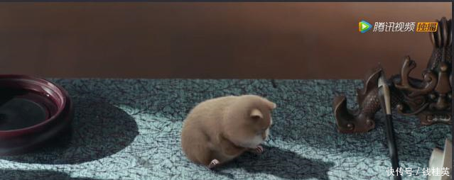 《扶摇》第22集中阮经天的这句话到底是什么