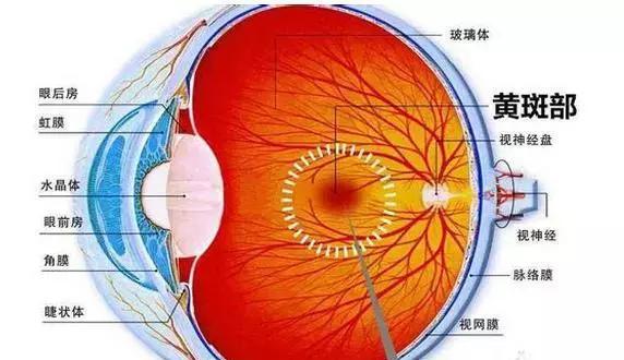 悲剧!1岁大的宝宝因洗澡眼睛失明,年轻父母们
