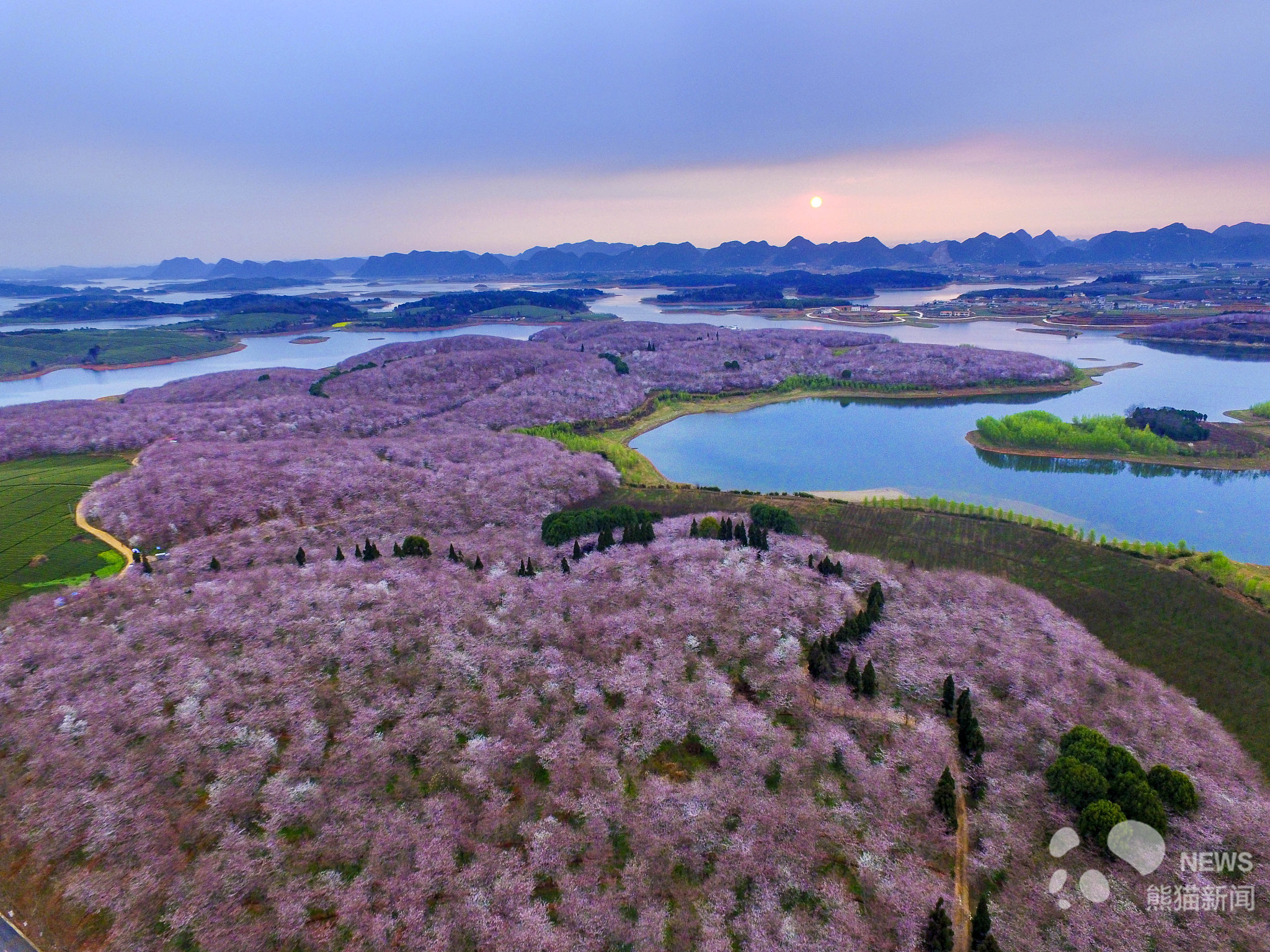 国内赏花指南请接收 开启春天踏青模式