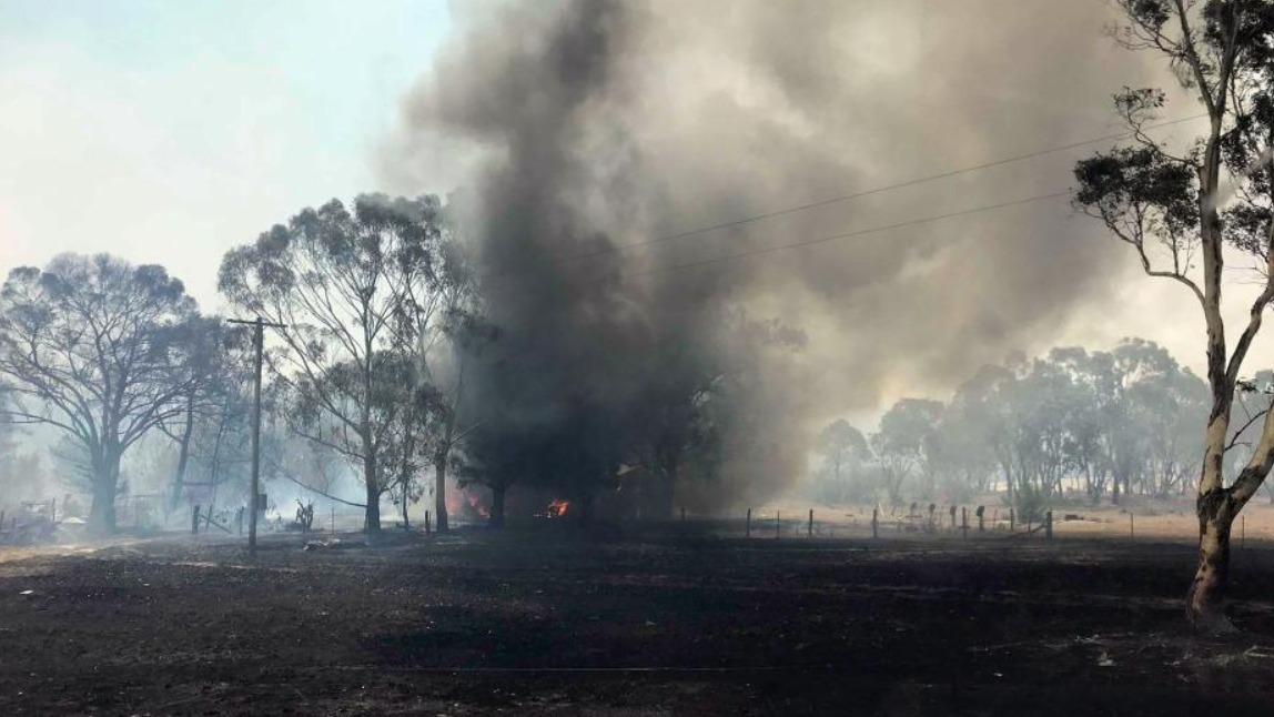澳大利亚山火得到控制 土地一片焦黑
