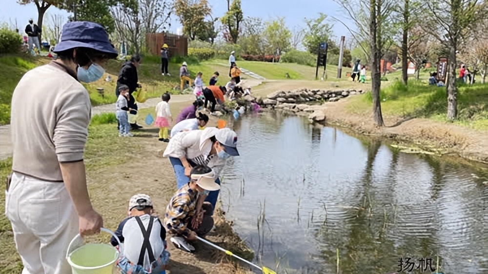春光明媚 扬州市民郊野踏青尽享美好时光