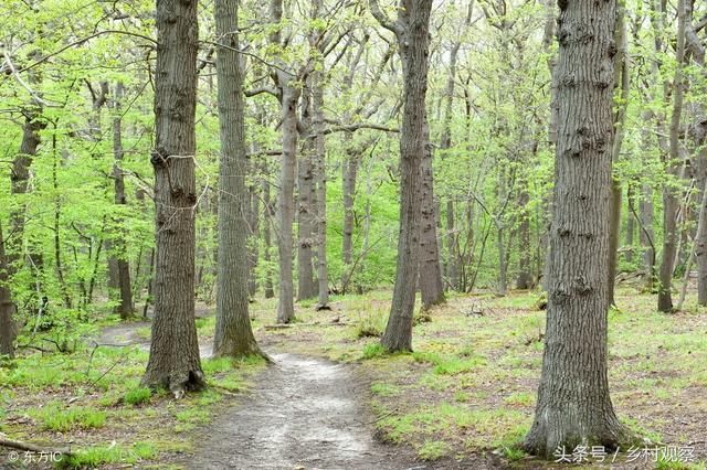 2018土地确权后,如果老人去世,子女可以继承土