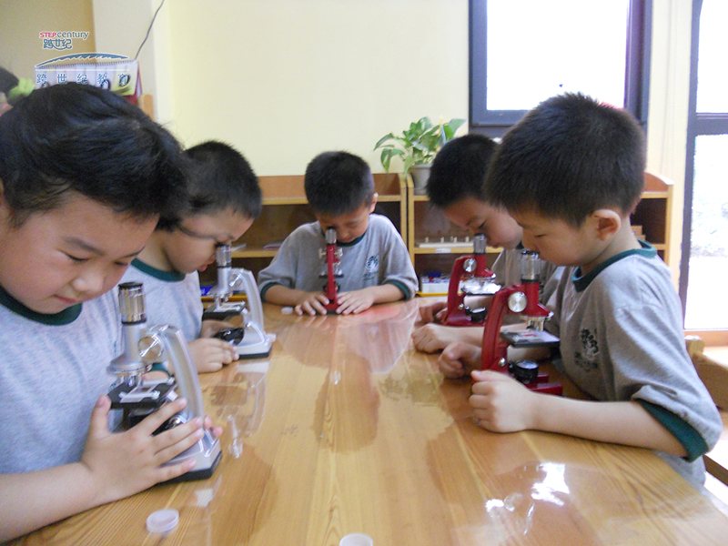 菏泽蒙氏幼儿园加盟,蒙氏教育知识问答