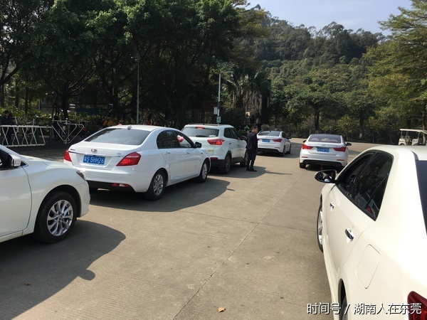 东莞湖南人 风雨无阻 相聚大岭山森林公园