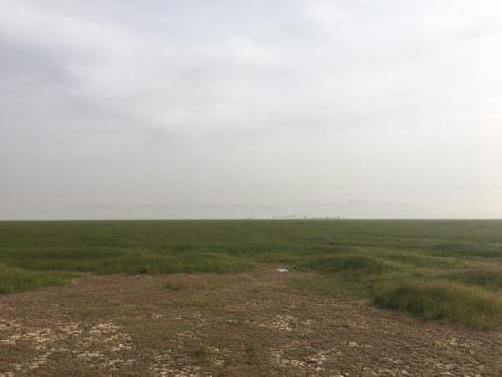 鄱阳湖建闸地:宽2.8千米,候鸟栖息的草洲将消失 鄱阳湖建闸地:宽2.8千米,候鸟栖息的草洲将消失