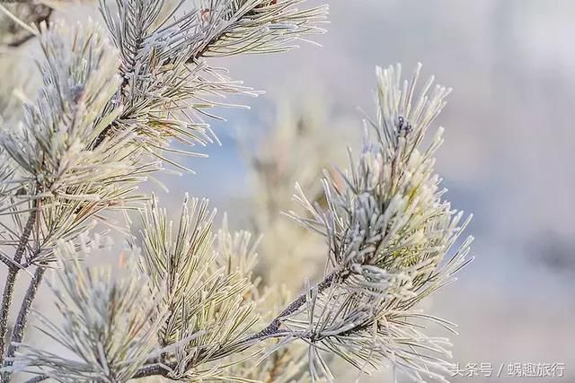 紧急!湖南省各州市关于暴雪天气放假的通知!