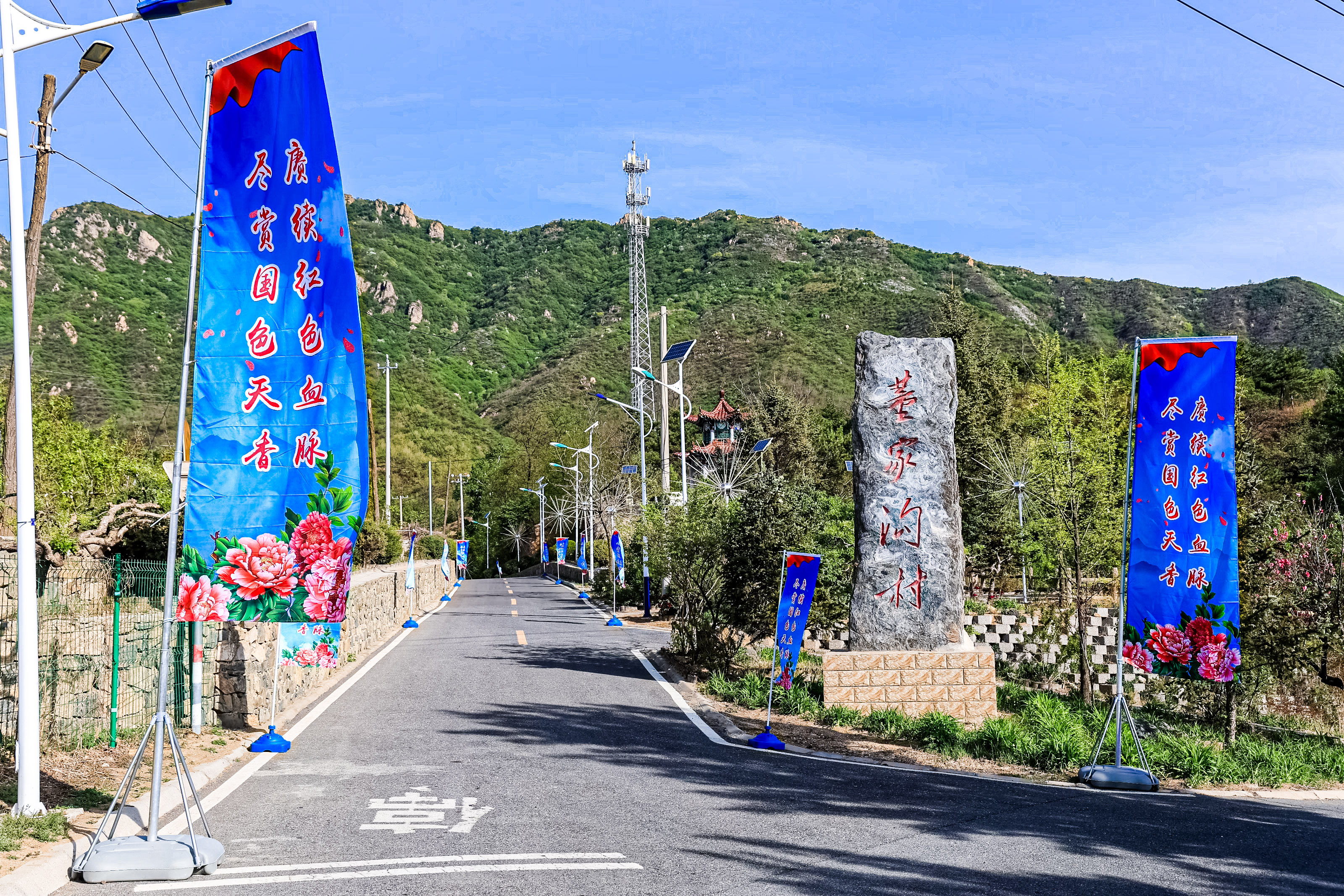 延庆牡丹文化节"花开花落二十日"至花期结束 "花样"活动等您来