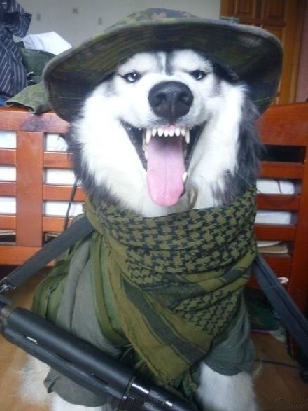 微笑大笑傻笑嘲笑苦笑,只有你想