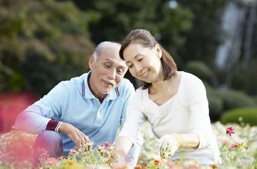 分析美国的社保制度,要缴纳多少年才可以领取