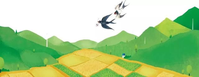 认种一颗优质高产脐橙树,享受返璞归真式的美