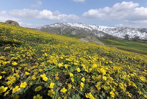 这个季节去哪里旅游最好,最推荐的6月目的地