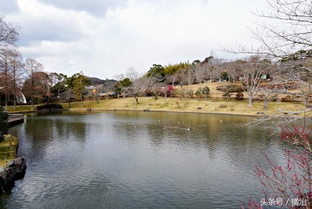 日本静冈怎么玩?喂海鸥、赏花、采草莓,滨松一