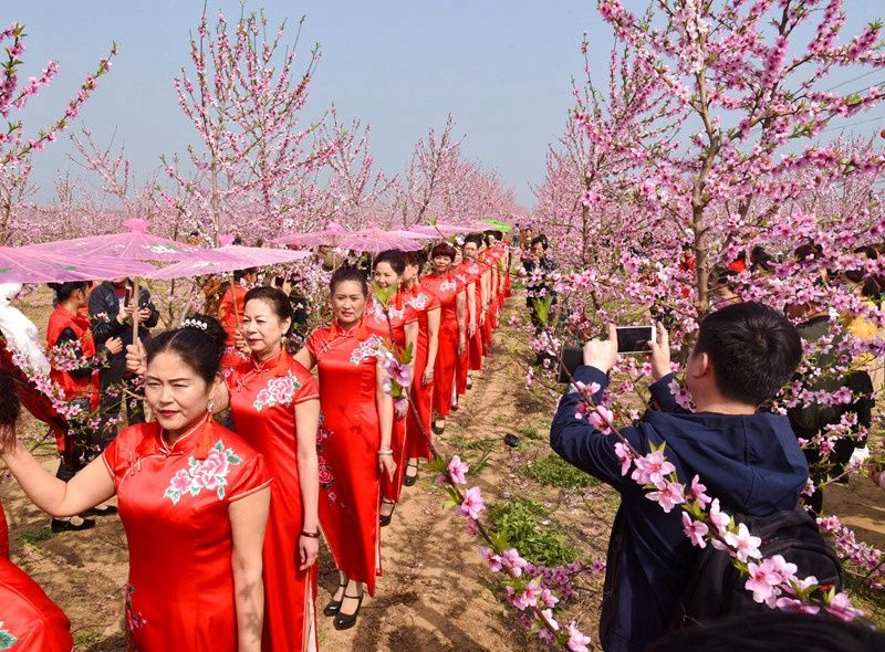 花花世界等你来--河南叶县首届燕山湖桃花节开幕
