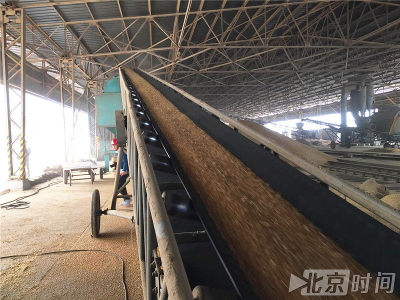 中粮集团国企开放日:现代粮食仓储体验之旅