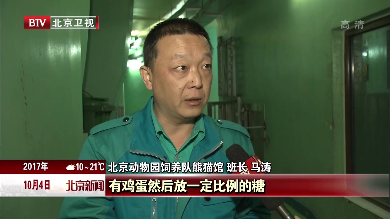 动物园里庆佳节 大熊猫吃上特制月饼 动物园里庆佳节 大熊猫吃上特制月饼