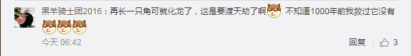 他印象中，当时自己注意到蛇头上的这个突出，“以为是枯树枝或者其他脏东西，当时还一度觉得这东西影响了照片的成像。”拍完照之后，他就看着这条蛇爬开了。

过了几天，当他回看那次调查的照片时，仔细看了照片，才发现蛇头上的突出并不一般。“开始我以为会蚂蟥，但是这个‘角’没有蚂蟥的纹路，接合处也没有吸盘。”赵力表示，另一方面这个“角”上的颜色和蛇身体上的几乎一致。

随后，他又将自己的疑问发到了微博上，作为一名研究昆虫的学者，他希望能看到大家的讨论和解答。

网友脑洞大开：成精的蛇？

“独角蛇”很快在朋友圈里引来关注。“是接收信号的吧”，有人开玩笑道。

“角”也引来了其他人关于传说中“龙”的猜想，也有人打趣“这是成精的蛇”。

微博上的网友更加活跃，和赵力最初的想法一样，有网友猜测是“蛇脑袋上趴了条蛭”，也有认为是“旱蚂蟥”。