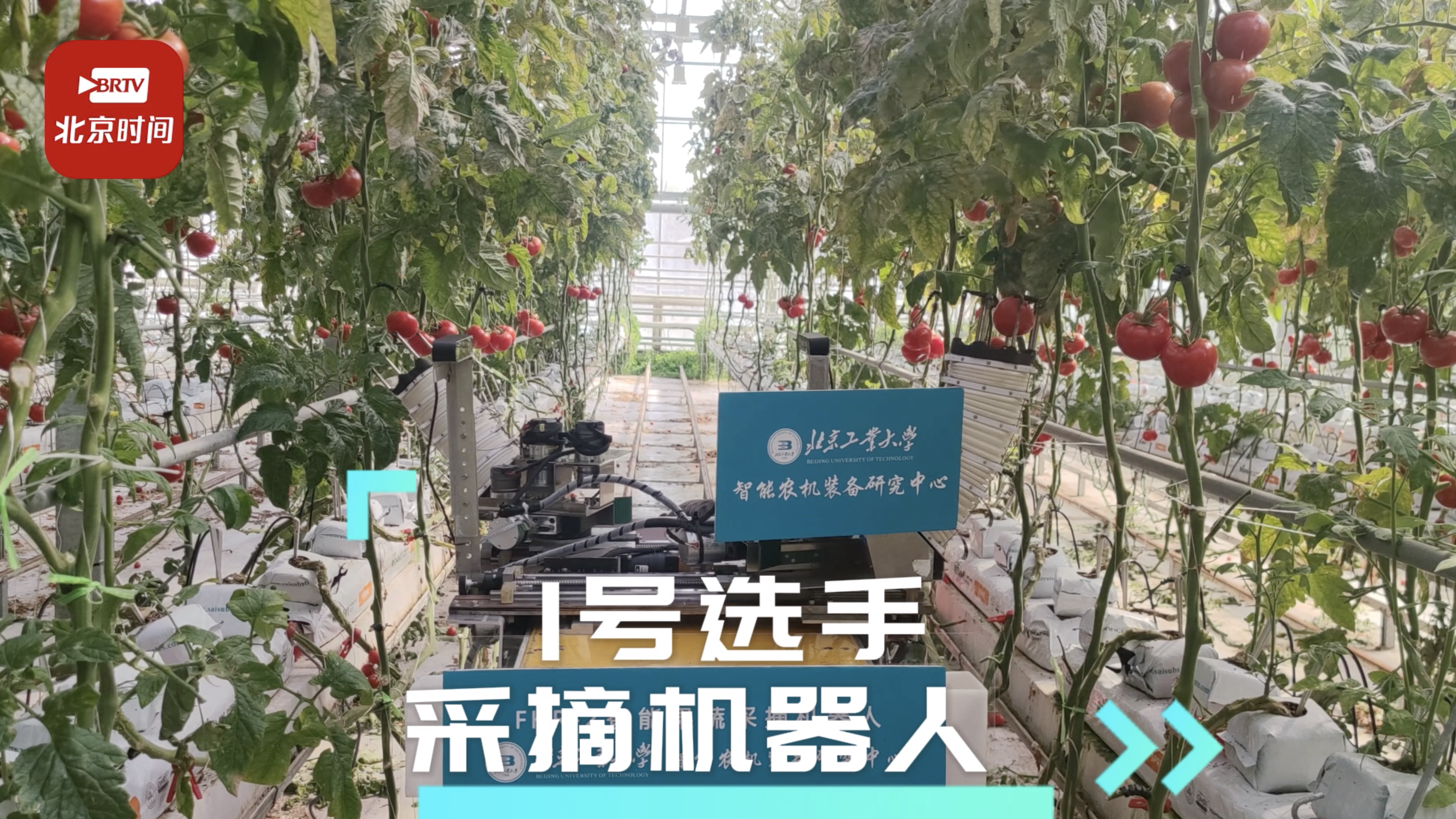 【植根首都 科技报国】当农场里只有机器人 智能“植物工厂”来啦！