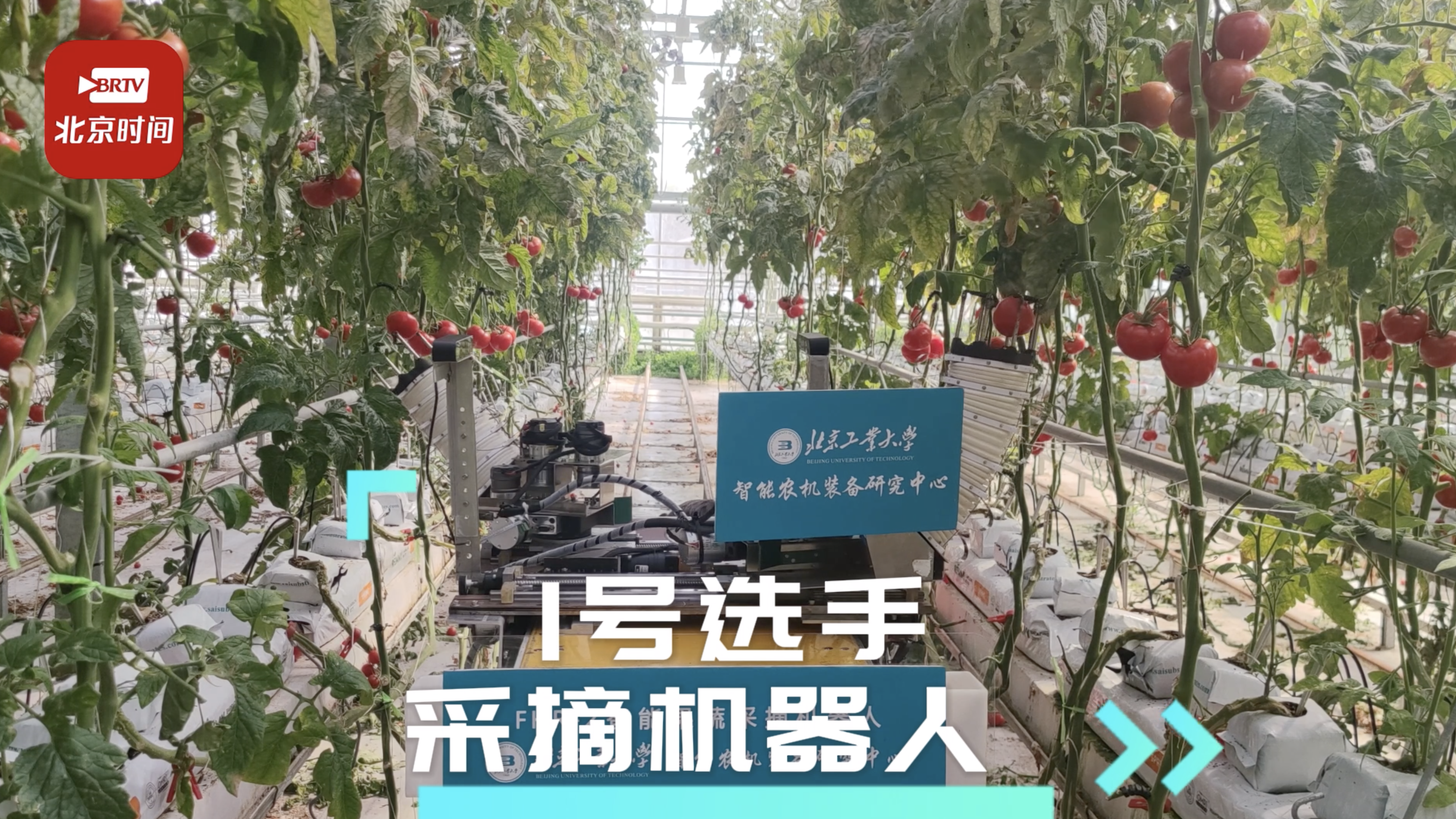 【植根首都 科技报国】当农场里只有机器人 智能“植物工厂”来啦! 【植根首都 科技报国】当农场里只有机器人 智能“植物工厂”来啦!