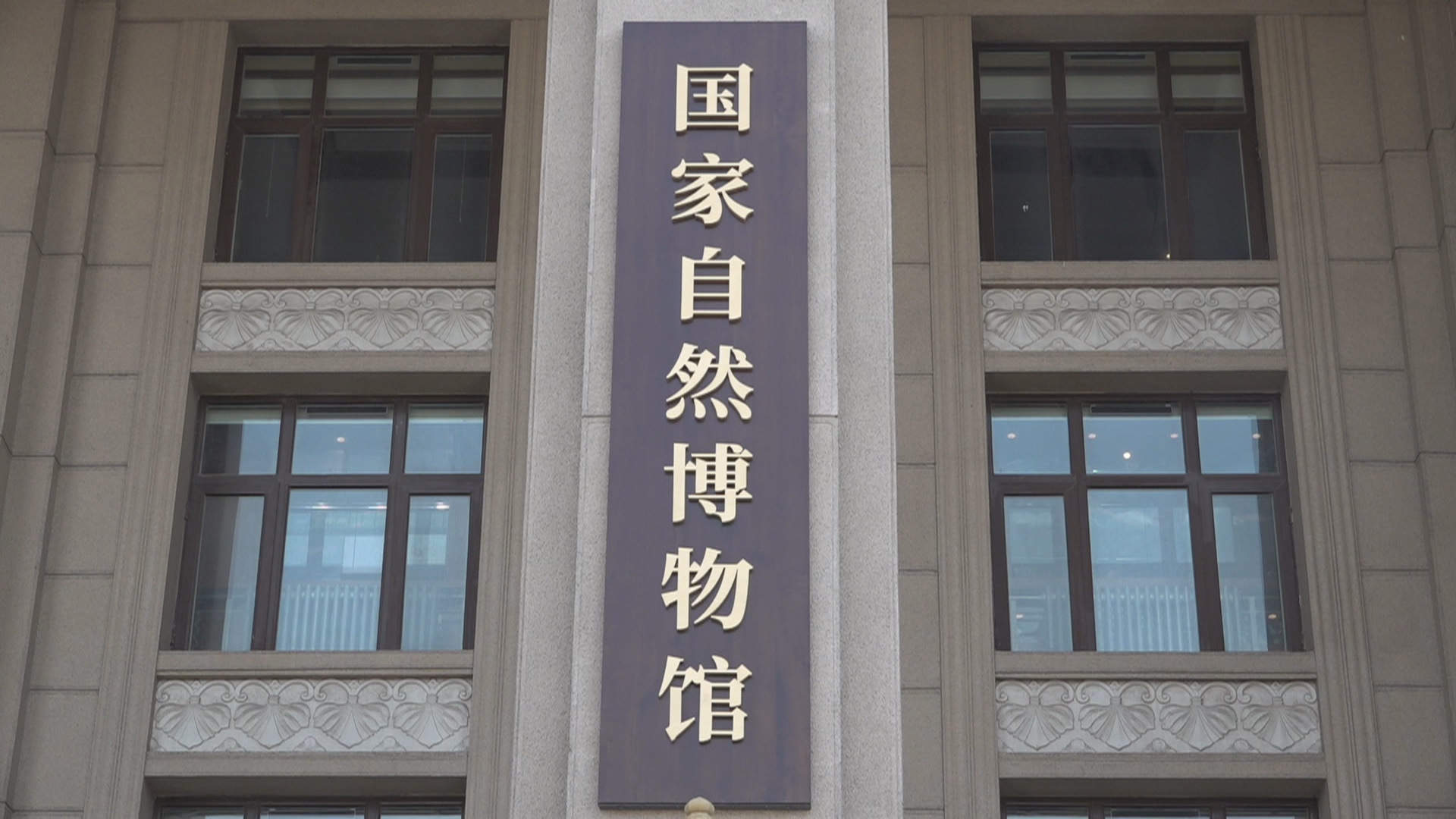 走进国家自然博物馆了解博物馆人平凡而不普通的故事 走进国家自然博物馆了解博物馆人平凡而不普通的故事