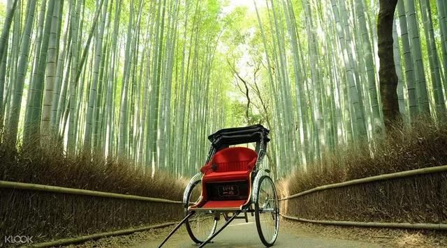 一家旅游公司,日本淡季产品价格近2万!去了回