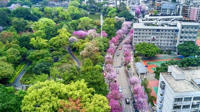 广西一座安逸的城市,物价低工资高,风景如画人