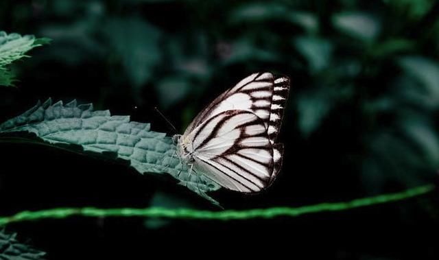 2018年中小学什么时候放暑假 7月中旬期末考