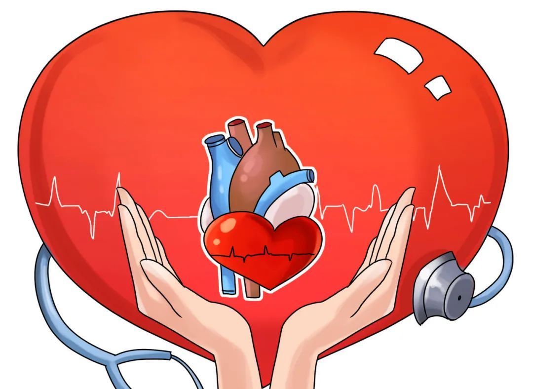 世界心脏日:保护心脏健康,需要养成哪些良好的生活习惯?