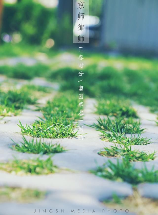 公司纠纷裁判案例之股权回购