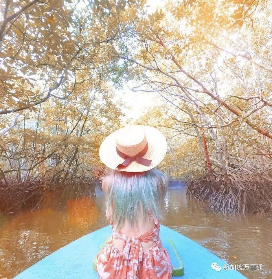 新加坡旁私藏了一个中国护照免签的天空之镜