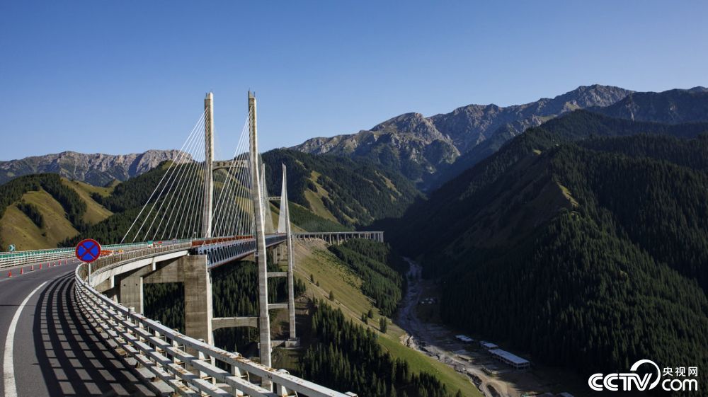 大桥是新疆公路第一座斜拉桥，也是国内第一座公路双塔双索面钢桁梁斜拉桥。